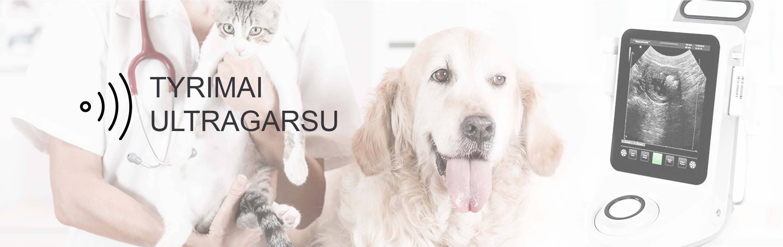 gyvunu tyrimai ultragarsu zirmunu veterinarija Echoskopija